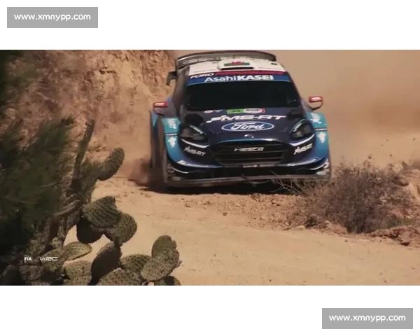 看WRC，感受肾上腺素飙升的极致快感！